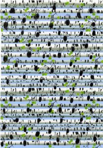 Der Spatz im Birkenwald