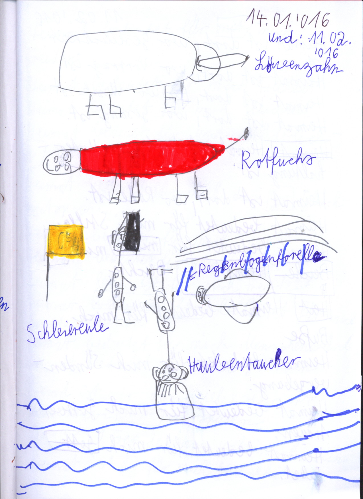 Bilderrätsel mit Auflösung